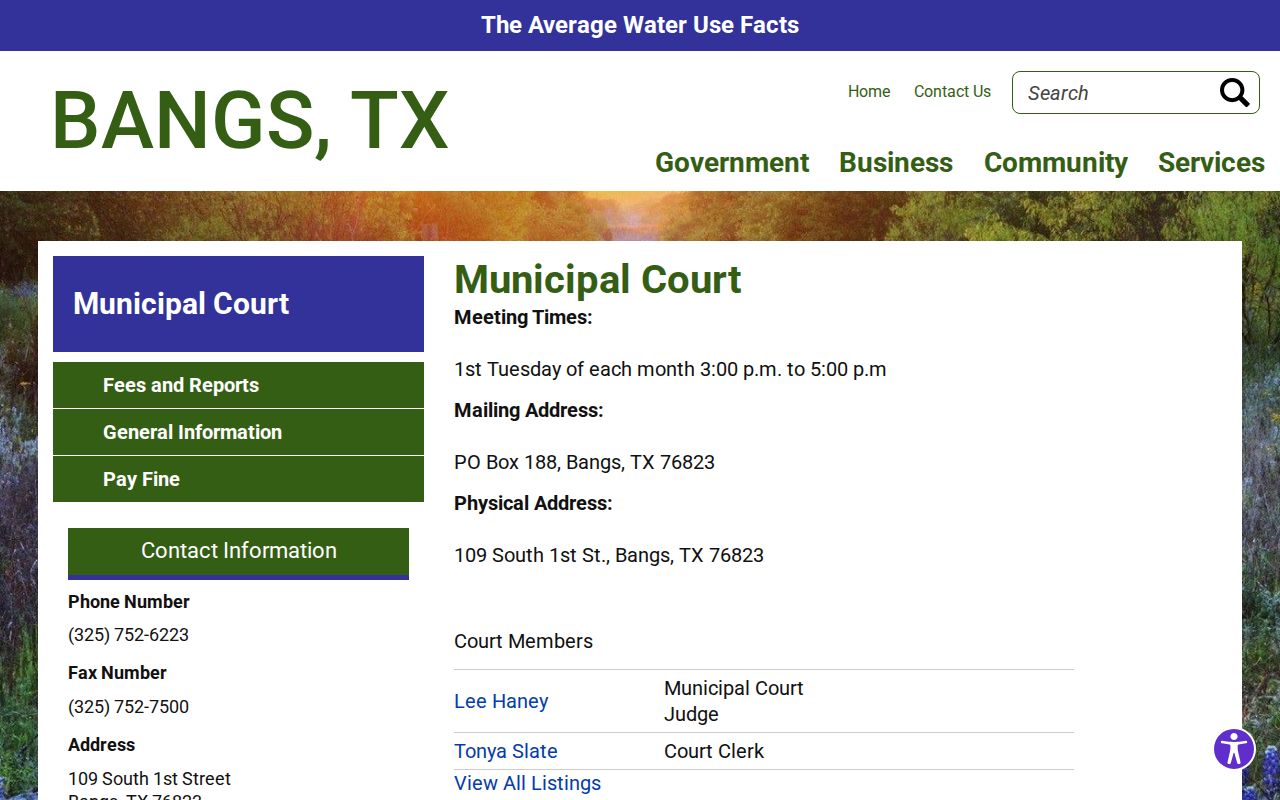 Bangs Municipal Court criminal case records