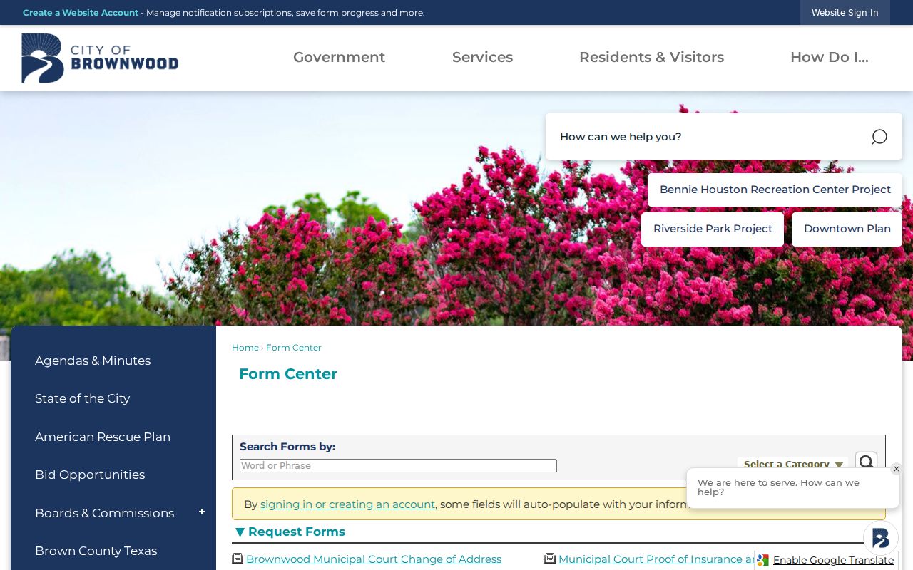 Brownwood online criminal records request forms
